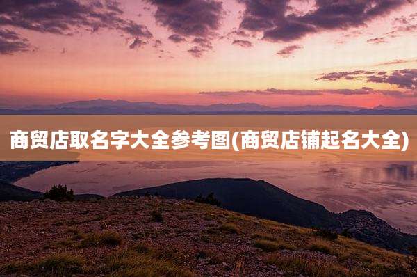 商贸店取名字大全参考图(商贸店铺起名大全)