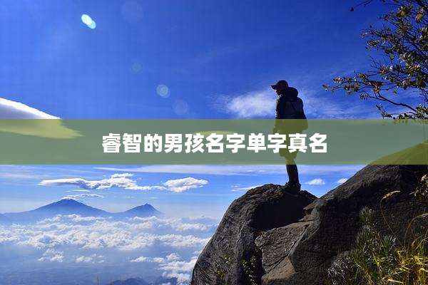 睿智的男孩名字单字真名
