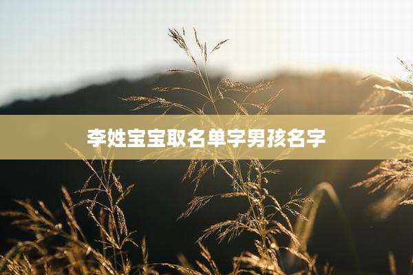 李姓宝宝取名单字男孩名字