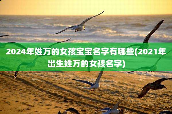 2024年姓万的女孩宝宝名字有哪些(2021年出生姓万的女孩名字)