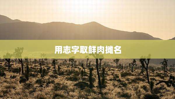 用志字取鲜肉摊名
