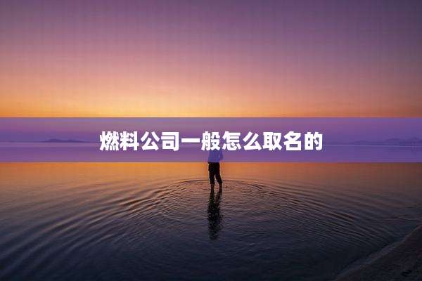 燃料公司一般怎么取名的