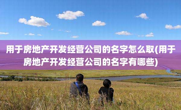 用于房地产开发经营公司的名字怎么取(用于房地产开发经营公司的名字有哪些)