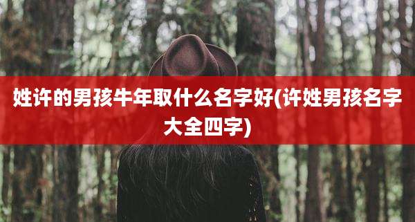 姓许的男孩牛年取什么名字好(许姓男孩名字大全四字)
