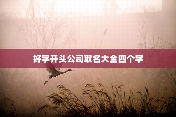 好字开头公司取名大全四个字