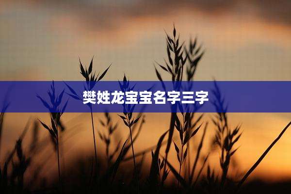 樊姓龙宝宝名字三字