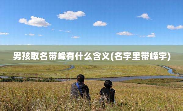男孩取名带峰有什么含义(名字里带峰字)