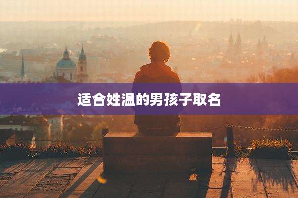 适合姓温的男孩子取名