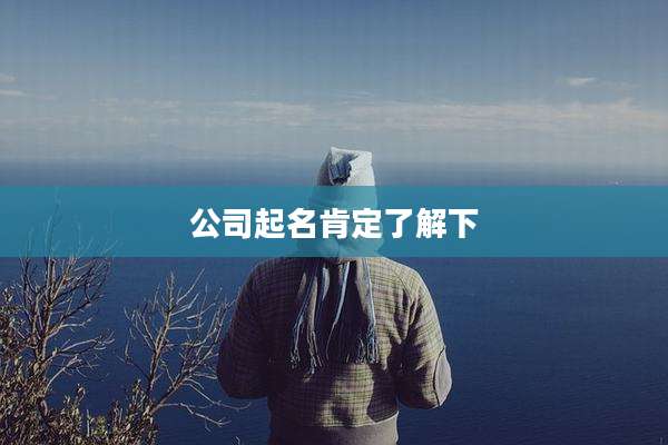 公司起名肯定了解下