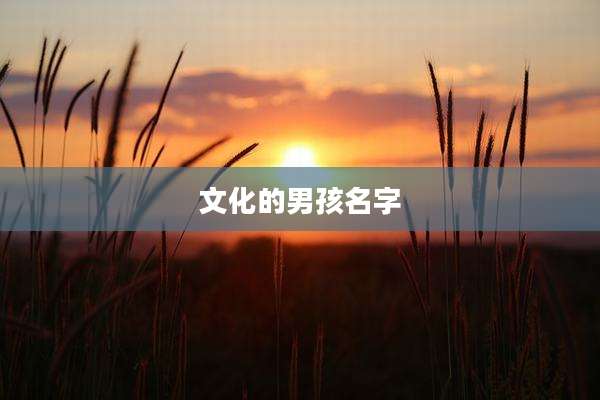 文化的男孩名字