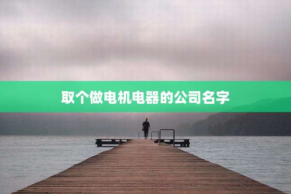 取个做电机电器的公司名字
