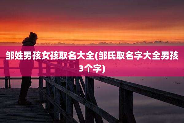 邹姓男孩女孩取名大全(邹氏取名字大全男孩3个字)