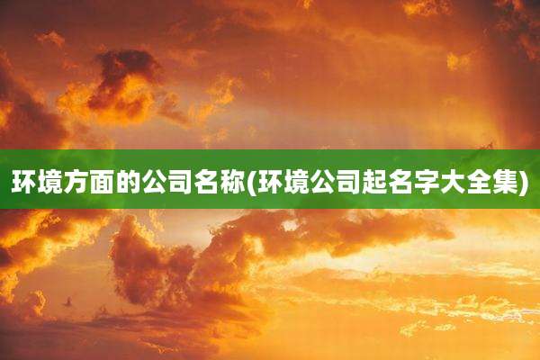 环境方面的公司名称(环境公司起名字大全集)