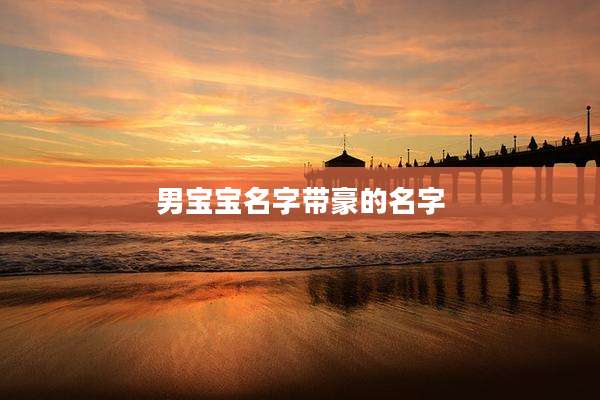 男宝宝名字带豪的名字
