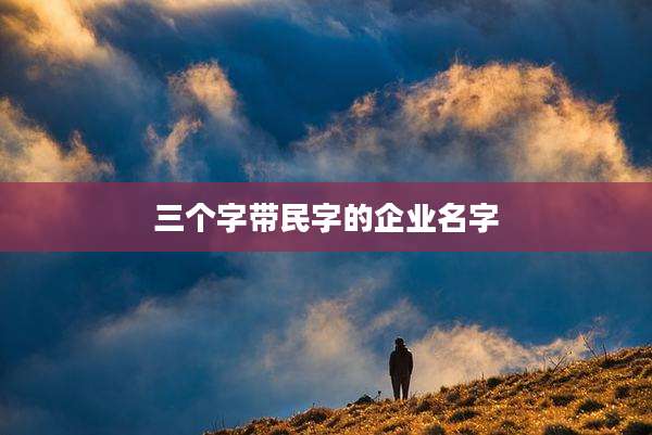 三个字带民字的企业名字