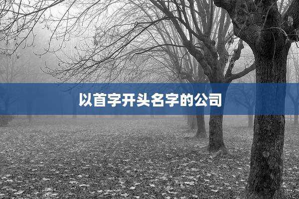 以首字开头名字的公司