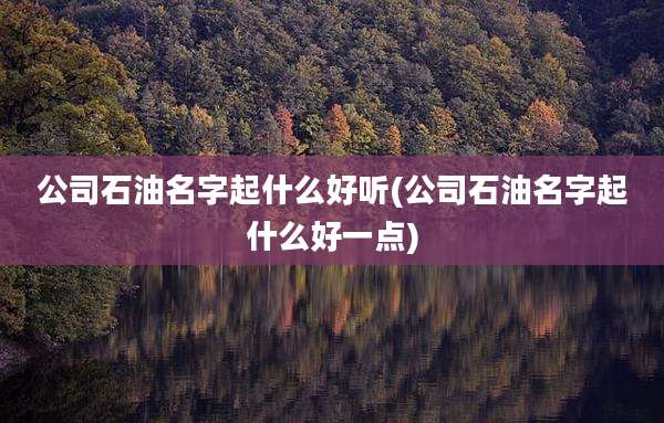 公司石油名字起什么好听(公司石油名字起什么好一点)