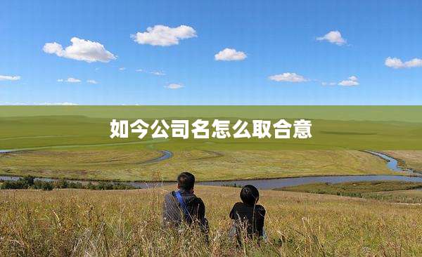 如今公司名怎么取合意