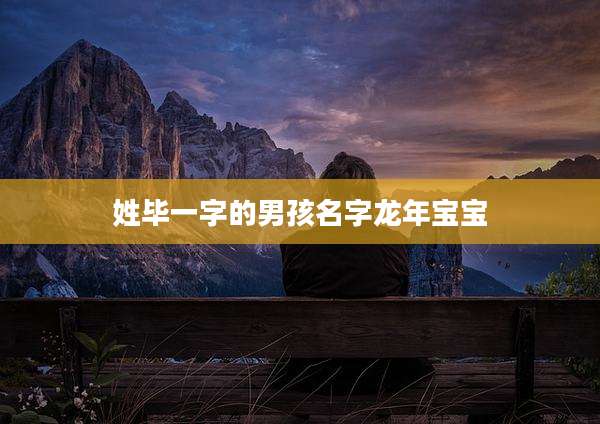 姓毕一字的男孩名字龙年宝宝