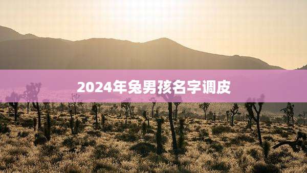 2024年兔男孩名字调皮