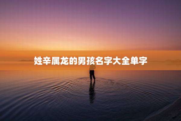 姓辛属龙的男孩名字大全单字