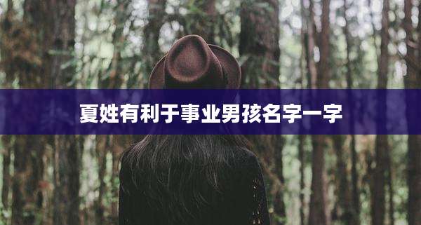 夏姓有利于事业男孩名字一字