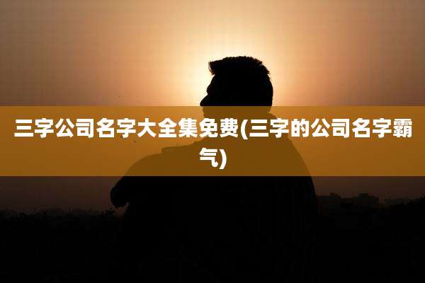 三字公司名字大全集免费(三字的公司名字霸气)