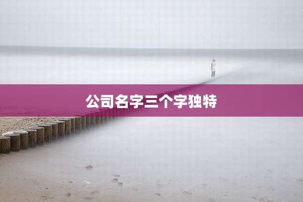 公司名字三个字独特