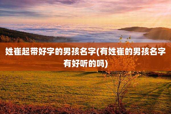 姓崔起带好字的男孩名字(有姓崔的男孩名字有好听的吗)