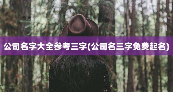 公司名字大全参考三字(公司名三字免费起名)