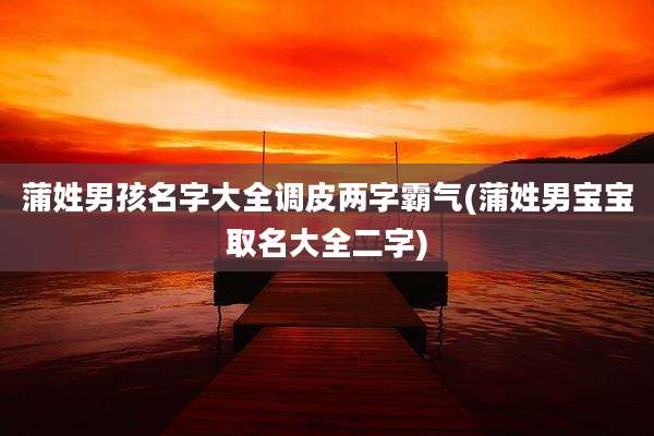 蒲姓男孩名字大全调皮两字霸气(蒲姓男宝宝取名大全二字)