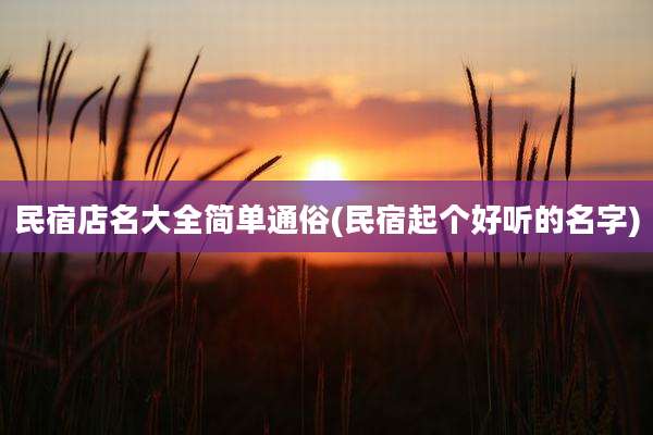 民宿店名大全简单通俗(民宿起个好听的名字)