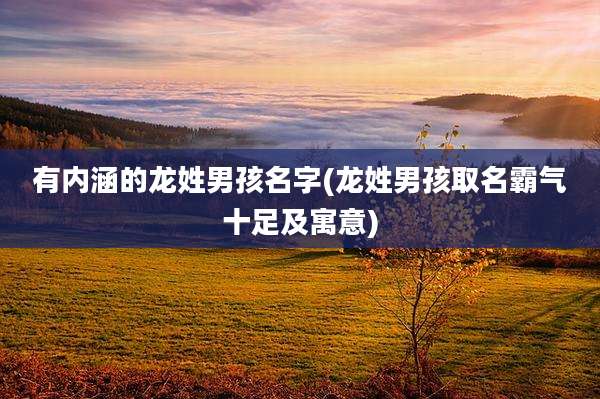 有内涵的龙姓男孩名字(龙姓男孩取名霸气十足及寓意)
