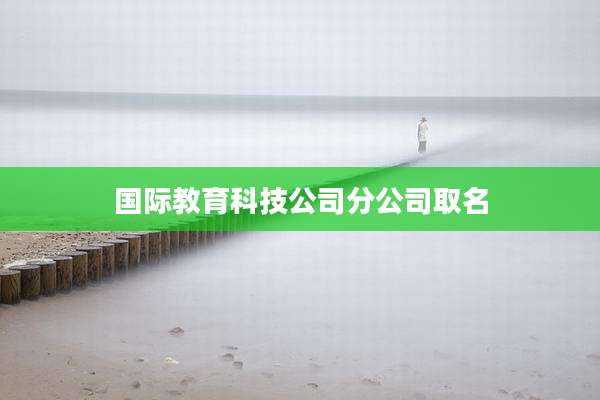 国际教育科技公司分公司取名