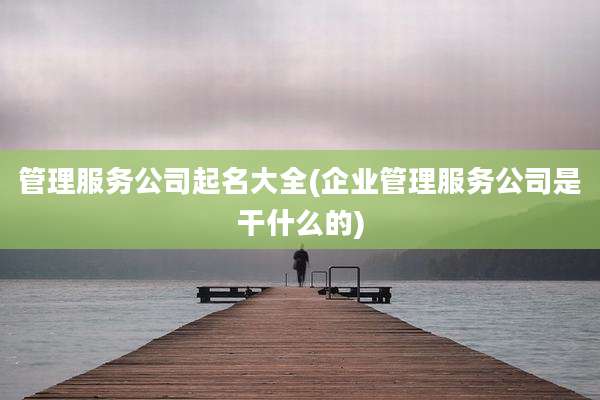 管理服务公司起名大全(企业管理服务公司是干什么的)