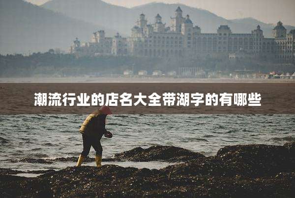 潮流行业的店名大全带湖字的有哪些