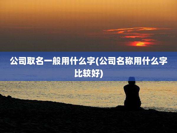 公司取名一般用什么字(公司名称用什么字比较好)