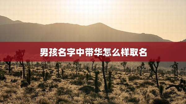 男孩名字中带华怎么样取名