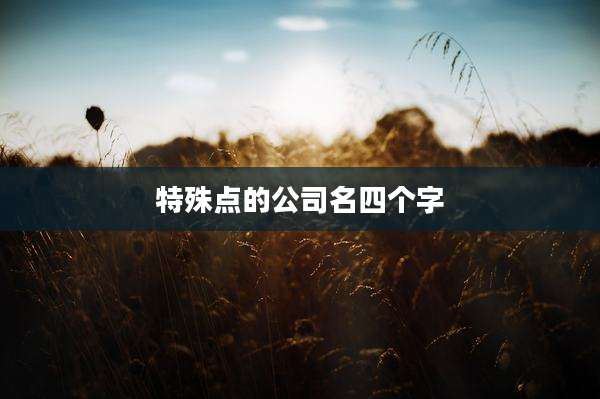 特殊点的公司名四个字