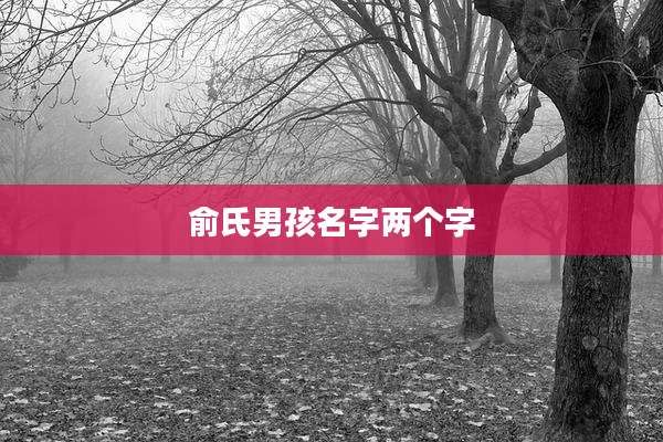 俞氏男孩名字两个字