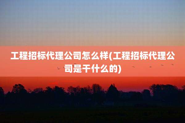 工程招标代理公司怎么样(工程招标代理公司是干什么的)