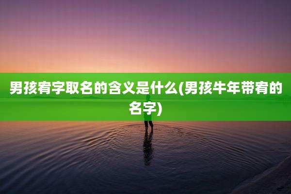 男孩宥字取名的含义是什么(男孩牛年带宥的名字)