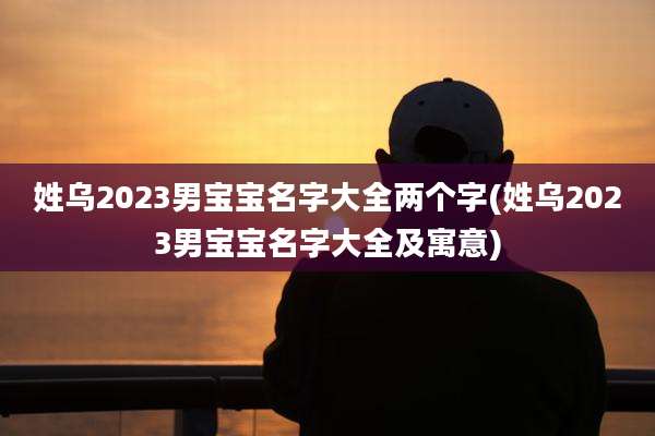 姓乌2023男宝宝名字大全两个字(姓乌2023男宝宝名字大全及寓意)