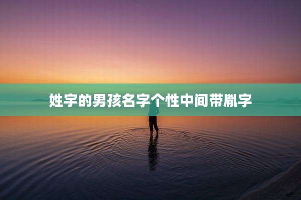 姓宇的男孩名字个性中间带胤字