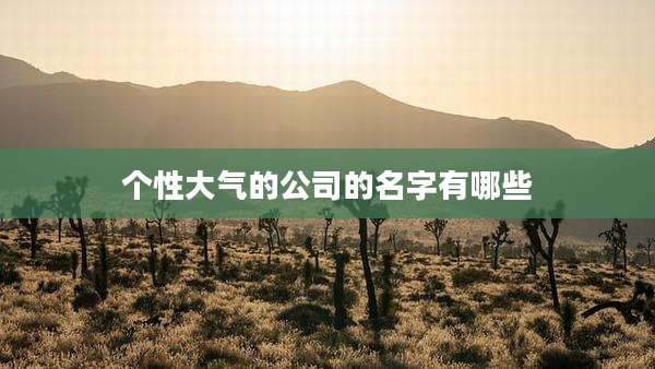 个性大气的公司的名字有哪些