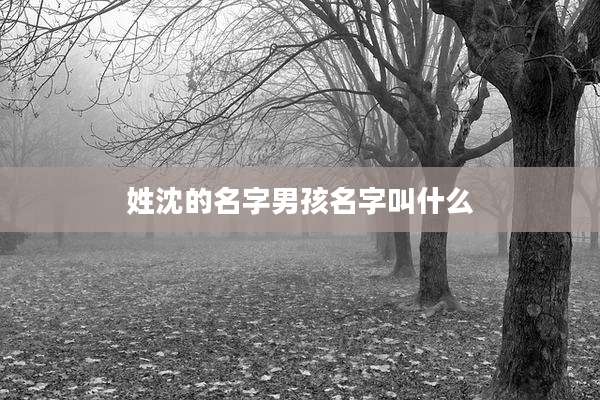 姓沈的名字男孩名字叫什么