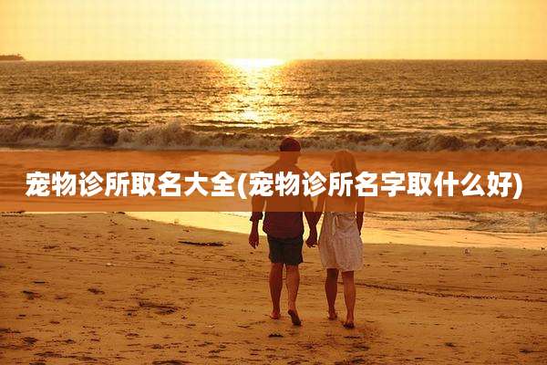 宠物诊所取名大全(宠物诊所名字取什么好)