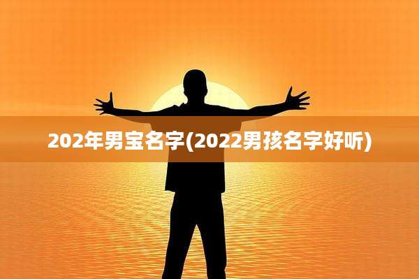 202年男宝名字(2022男孩名字好听)