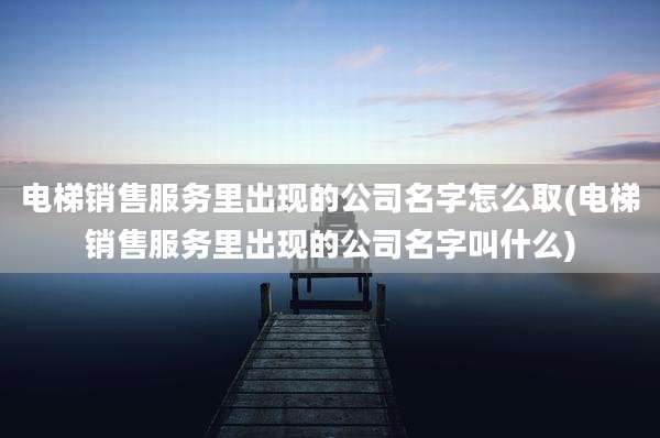 电梯销售服务里出现的公司名字怎么取(电梯销售服务里出现的公司名字叫什么)