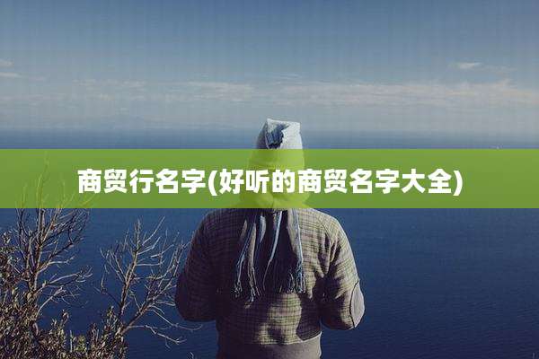商贸行名字(好听的商贸名字大全)